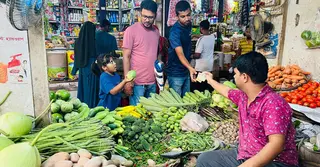 কুষ্টিয়ায় সব ধরনের সবজির দাম কমেছে